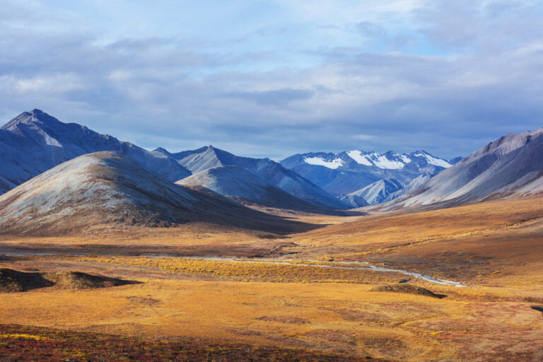 The Tundra Climate