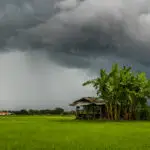 Why monsoon rains have been so unusual heavy this year